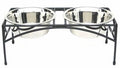 Regal Double Elevated Feeder - Medium/Black
